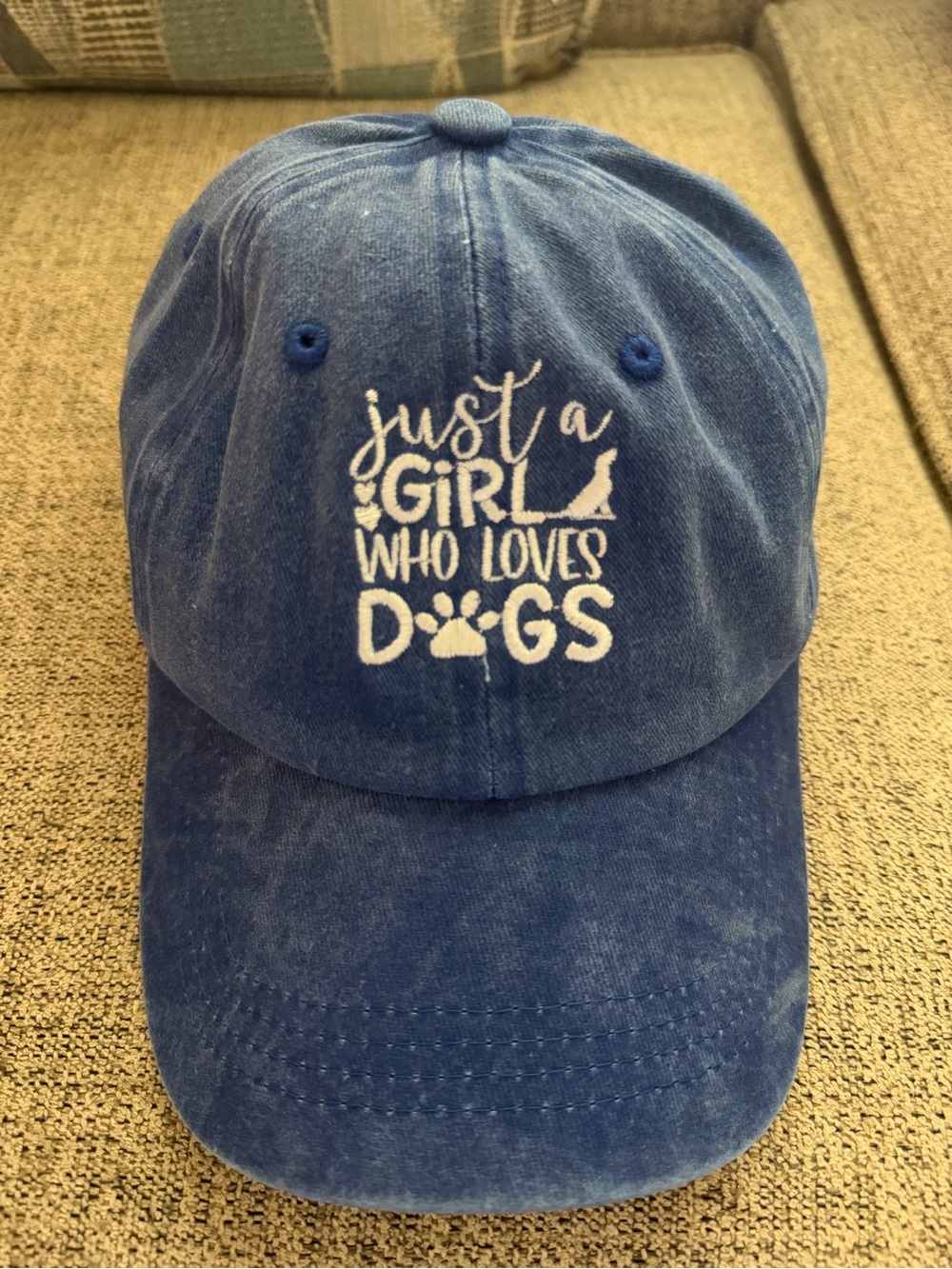Just a Girl Who Loves Dogs Blue Wash Baseball Cap OS